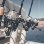Best Time To Go Saltwater Fishing