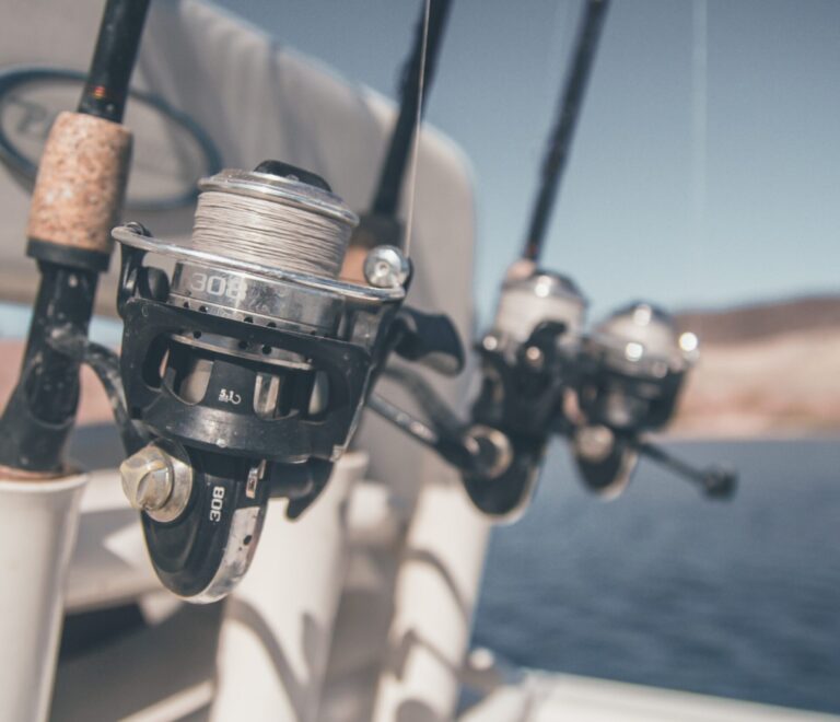 Best Time To Go Saltwater Fishing